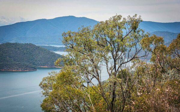 Lake-Eildon-Fishing