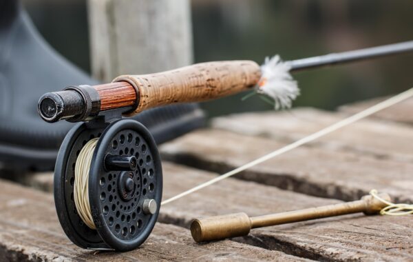 Eildon-trout-fishing